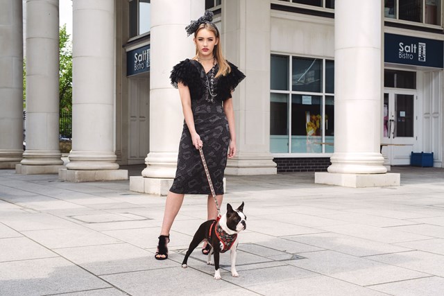 Hundesele med Hodeskaller og Roser