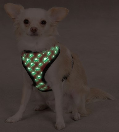 Crossbone - Rød Selvlysende Sele