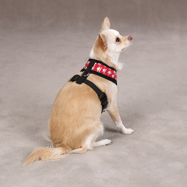 Crossbone - Rød Selvlysende Sele